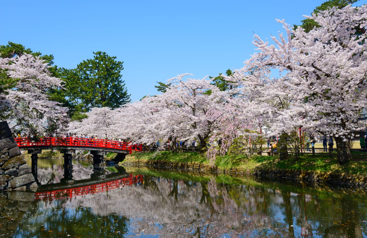 Imagination Meditation: Cherry Blossoms
