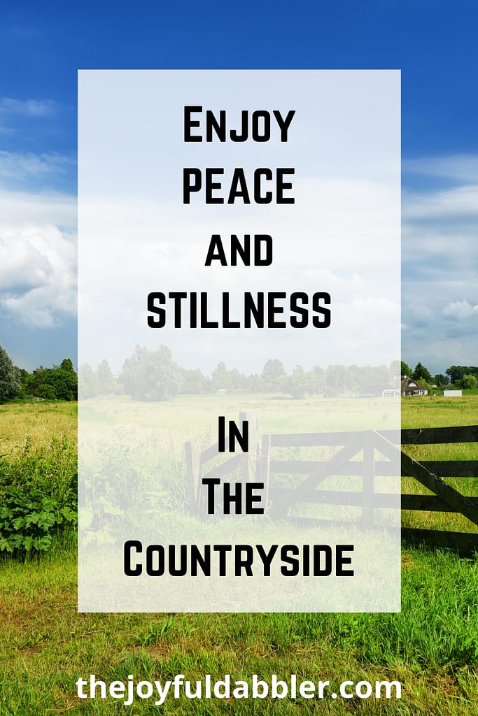 Imagination Meditation - Enjoy peace and stillness in the country