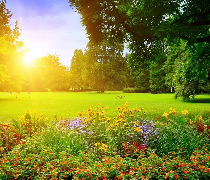 Imagination Meditation: In the Garden