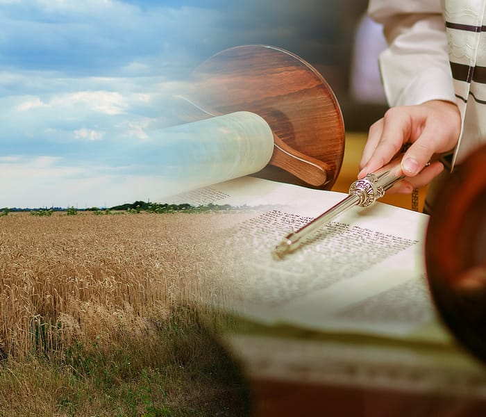 Passover to Shavuot: The Journey and the Covenant